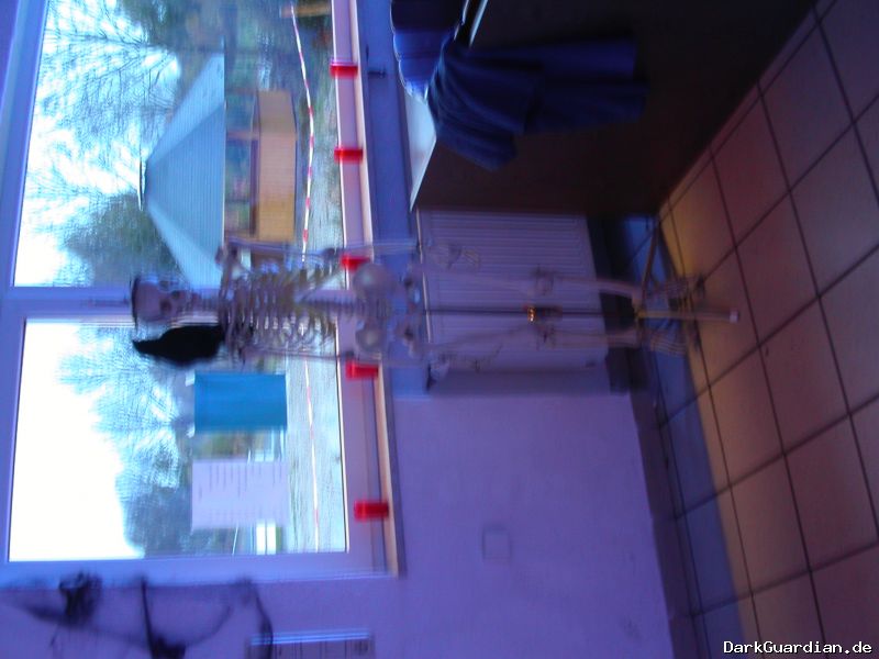 PICT0003